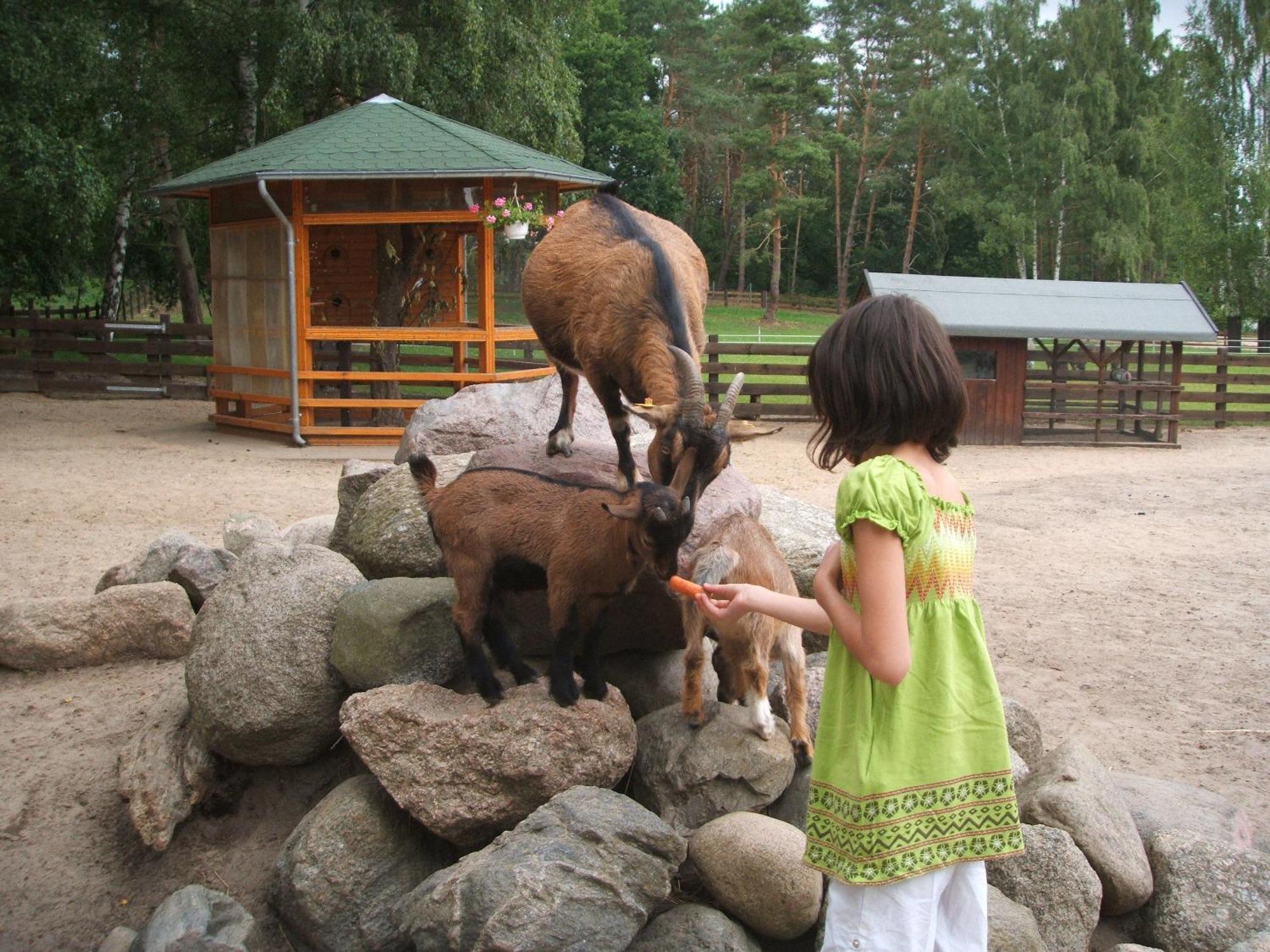 Ferienpark Heidenholz Plau am See Zewnętrze zdjęcie